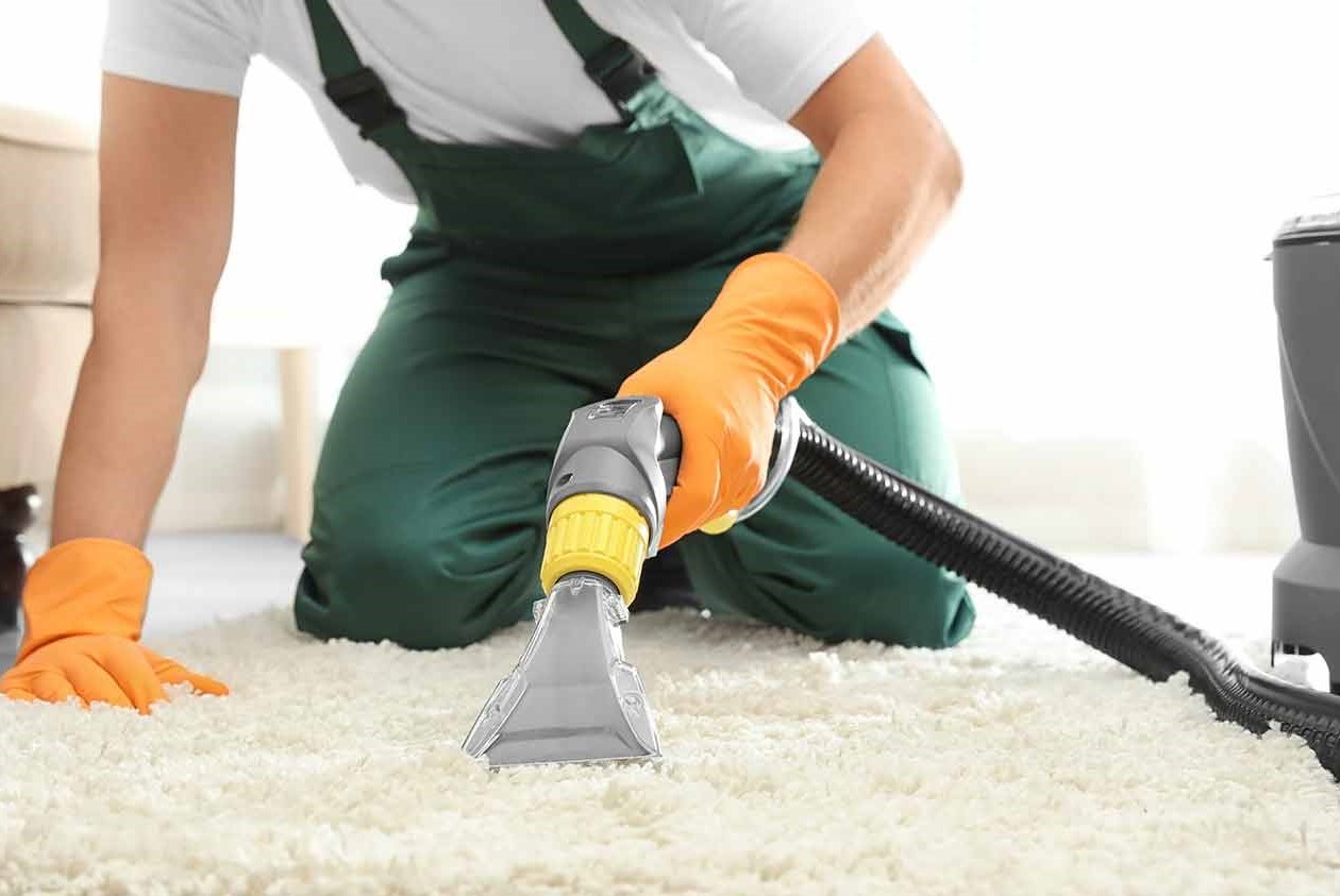 A freshly vacuumed carpet