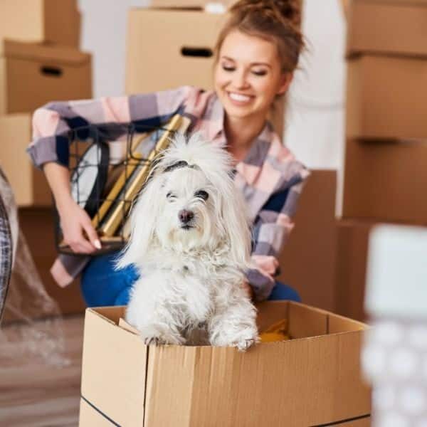 A cleaner preparing an empty home for its next occupants